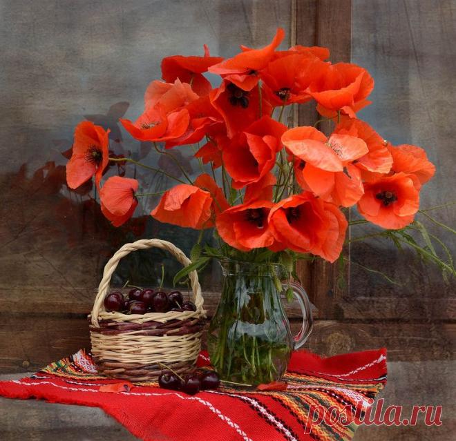 Яндекс.Фотки