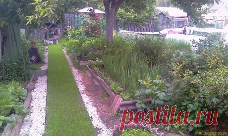 Дорожка из георешётки на даче
