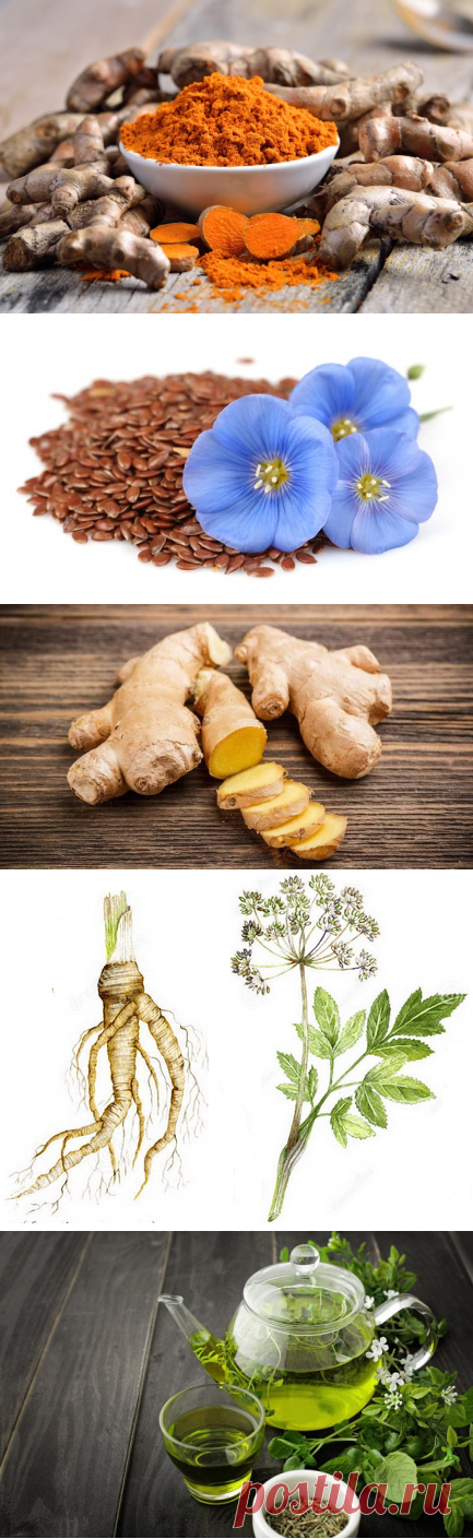 8 самых мощных трав для женского здоровья, баланса гормонов, устранения симптомов ПМС