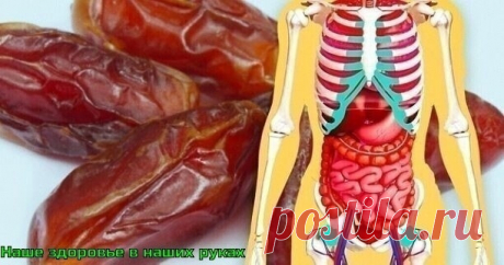 20 ФАКТОВ О ФИНИКАХ