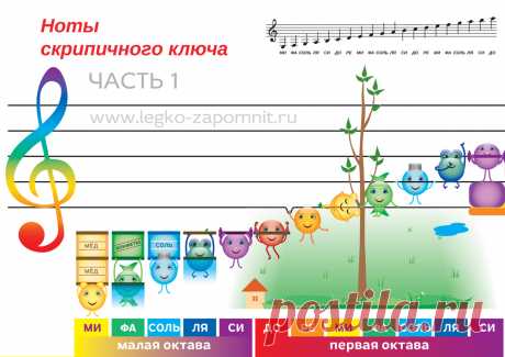 С помощью плакатов все предложенные ноты можно выучить за один день, если есть желание или необходимость. Но мы рекомендуем учить примерно по пять ноток в день. Читаем то, что написано о нотках, смотрим, где они находятся на нотном стане и на соответствующем плакате. Если запомнить рисунок с нотой и его описание, то легко запоминается и расположение ноты на нотном стане. В течение дня повторяем несколько раз.