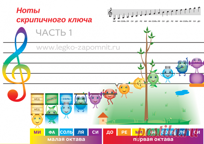 С помощью плакатов все предложенные ноты можно выучить за один день, если есть желание или необходимость. Но мы рекомендуем учить примерно по пять ноток в день. Читаем то, что написано о нотках, смотрим, где они находятся на нотном стане и на соответствующем плакате. Если запомнить рисунок с нотой и его описание, то легко запоминается и расположение ноты на нотном стане. В течение дня повторяем несколько раз.