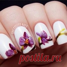 Тело как улика: Джиджи Хадид в рекламе купальников / Surfingbird знает всё, что ты любишь