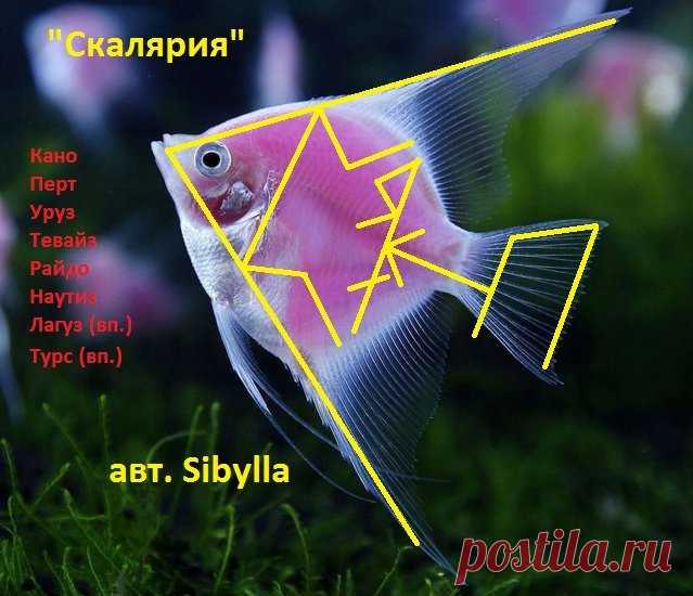 "Скалярия" привлечение клиентов

Автор: Sibylla

Прорисовка: Кано - Перт - Уруз - Тевайз - Райдо - Наутиз , Второплановые Лагуз и Тевайз.
Став создан для привлечения клиентов.
Кано - Перт - это лебёдка, которая притягивает клиентов
"Пинок на ура" - подталкивает их сзади и не даёт сорваться с крючка