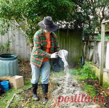 Древесная зола – натуральное удобрение и средство борьбы с вредителями Древесная зола как удобрение используется уже давно. Это вещество богато различными микроэлементами, необходимыми для роста растений. Давайте разберемся, как правильно применять пепел на участке. Древ...