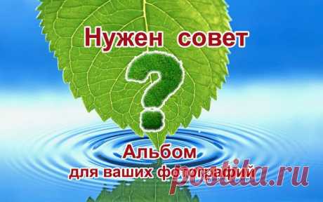 (73) Одноклассники