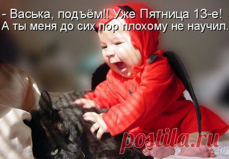 13 мая 2016, пятница 13 поздравить - Картинки пятница 13 - Картинки прикольные про пятницу 13-е - Картинки с пятницей 13 смешные