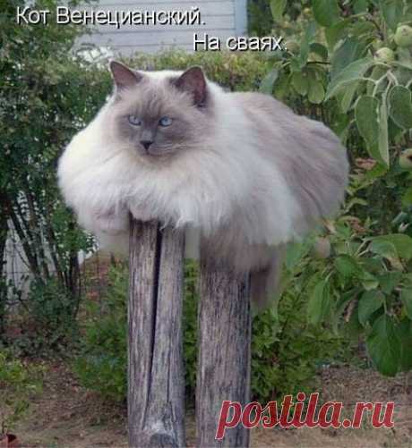 ♥♥Житейская мудрость ♥♥