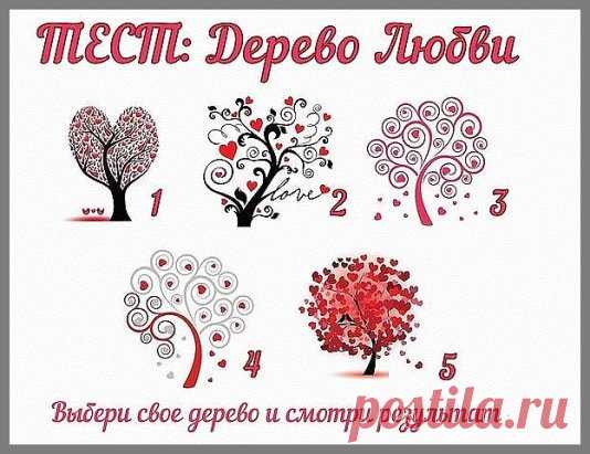 Выберите дерево, которое Вам больше нравится,и узнай результат