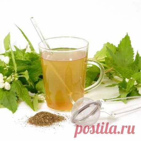 Препараты для очищения кишечника | ЗДОРОВЫЙ ДОМ