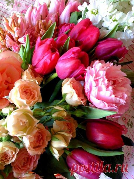 флористика