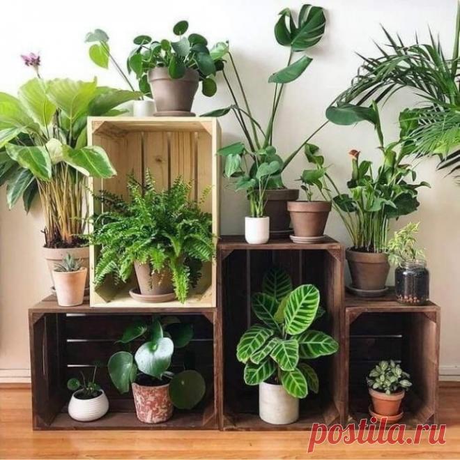 ​Использование деревянных ящиков в интерьере Использование деревянных ящиков в интерьереИногда их даже не нужно красить - достаточно красиво расположить.