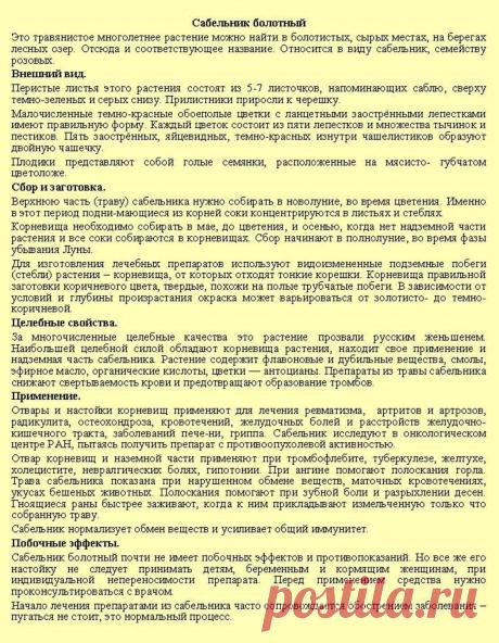 Сабельник болотный