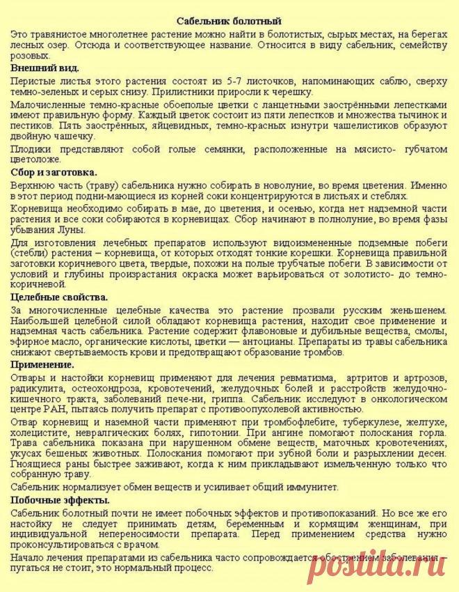 Сабельник болотный