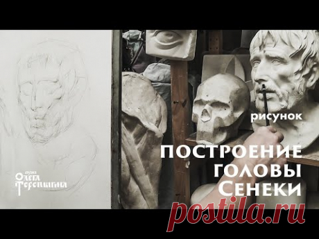 Построение головы Сенеки