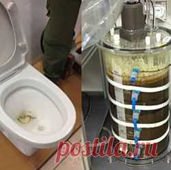 Новый туалет превращает отходы в электричество и удобрения
