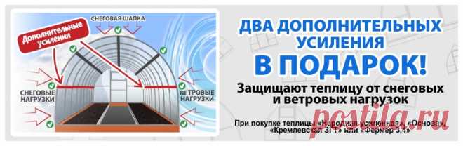 ЗАВОД ГОТОВЫХ ТЕПЛИЦ Тула, теплицы, поликарбонат, парники | Теплица "ОСНОВА" сверхпрочная, интервал дуг 0,65м, труба 25х25.