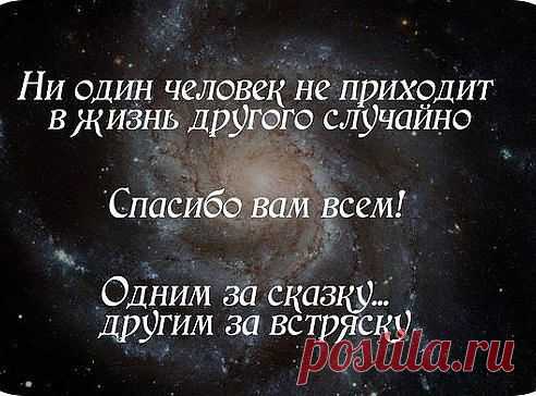 Дмитрий Стышнов
!!!