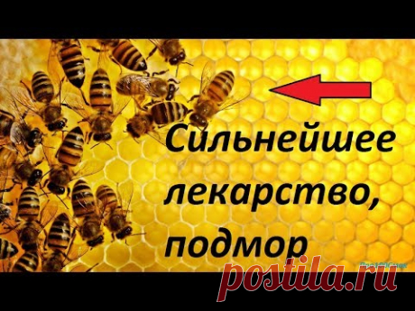 СИЛЬНЕЙШЕЕ ЛЕКАРСТВО ПЧЕЛИНЫЙ ПОДМОР.НАСТОЙКА