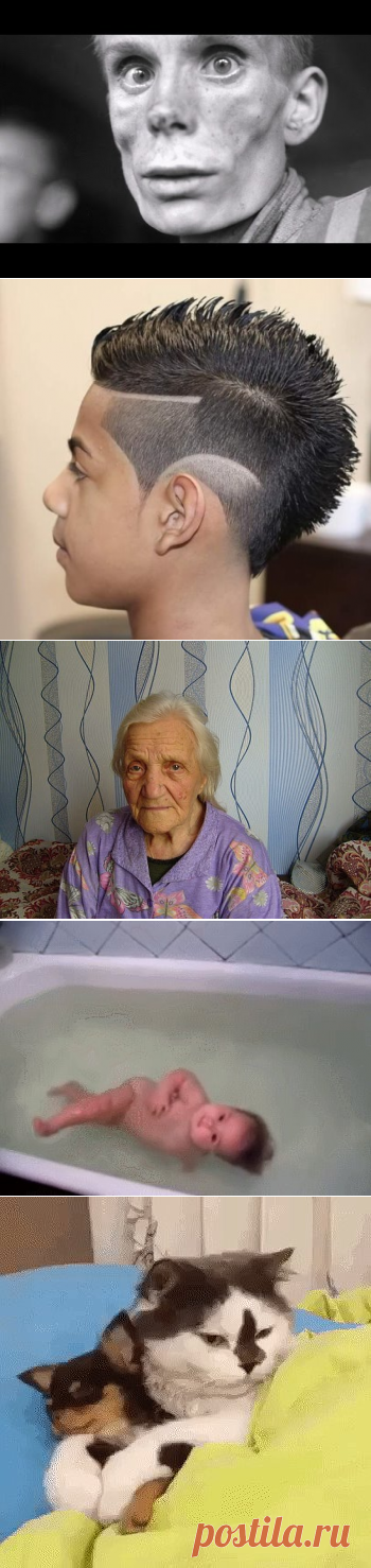 (88) Одноклассники