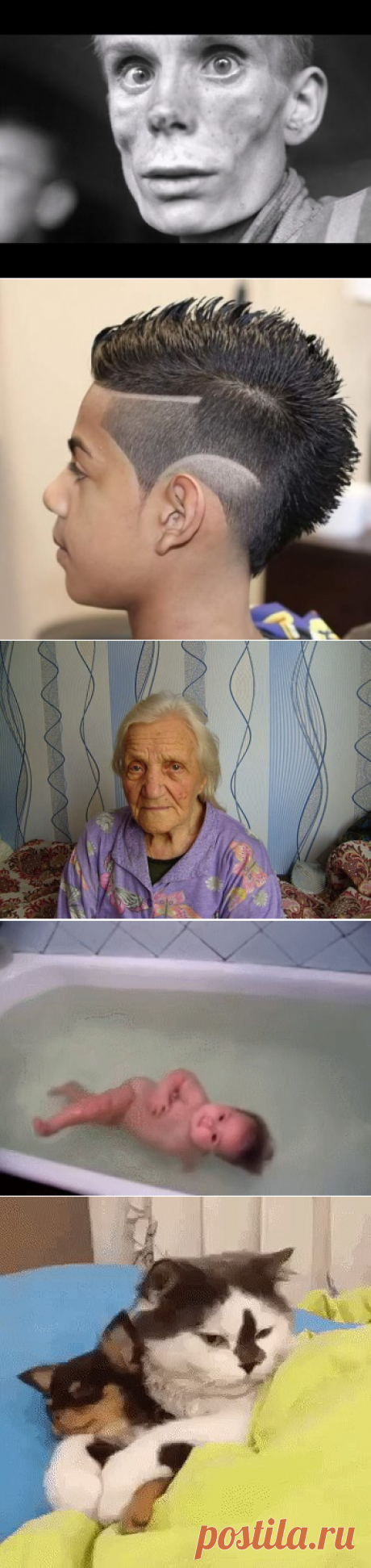 (88) Одноклассники