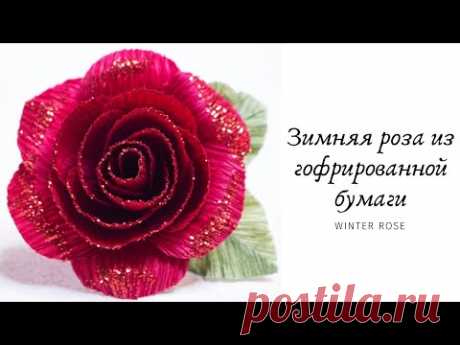 Зимняя роза из гофрированной бумаги к Новому Году / DIY / Winter Rose for the New Year - YouTube

В этом мастер-классе покажу как сделать красивую зимнюю розу из гофрированной бумаги. Она будет необычная и в то же время ее легко и просто сделать. 

#гофрированнаябумага #роза #розыизбумаги
