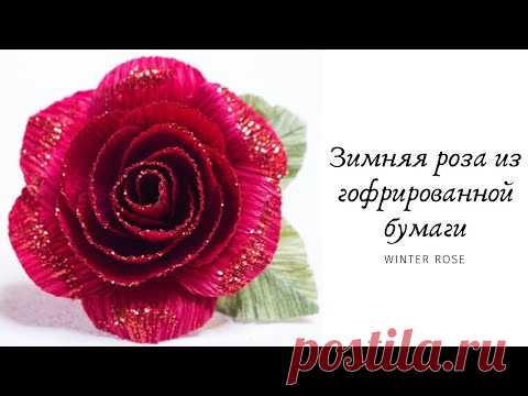 Зимняя роза из гофрированной бумаги к Новому Году / DIY / Winter Rose for the New Year - YouTube

В этом мастер-классе покажу как сделать красивую зимнюю розу из гофрированной бумаги. Она будет необычная и в то же время ее легко и просто сделать. 

#гофрированнаябумага #роза #розыизбумаги