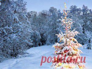 Страна Полезных Советов