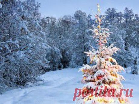 Страна Полезных Советов