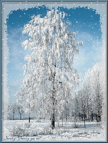 Поиск в Google+