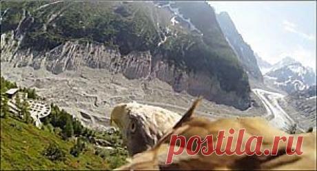 На орле верхом | web-assorti.ru