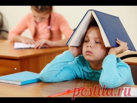Как мотивировать ребенка к учебе. Лайфхаки