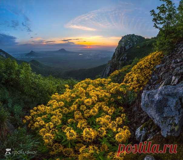 Гора Бештау, Ставропольский край. Автор фото – Федор Лашков: nat-geo.ru/photo/user/27510/