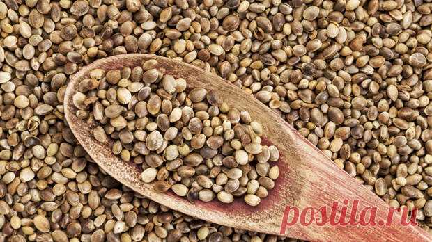 Семена, которые сделают нас всемогущими Мода на продукты не приносит нам обычно совершенно никакой пользы. Все потому, что мы слишком любим верить в правдивость приставки «супер» и начинаем скупать любую еду, грамотно преподнесенную маркетинговым отделом той или иной компании...