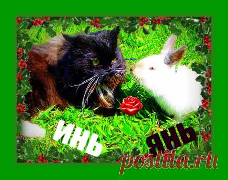 Мой Мир@Mail.Ru