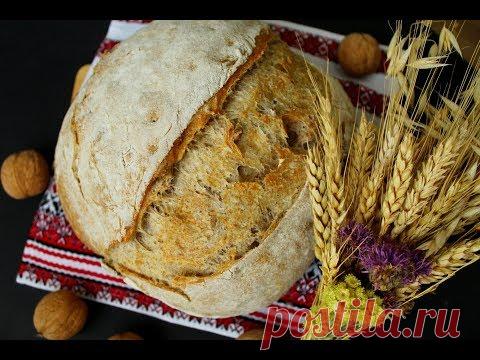 Хлеб из цельнозерновой муки с орехами на биге ☆ Пшеничный хлеб по рецепту Дж.Хамельмана