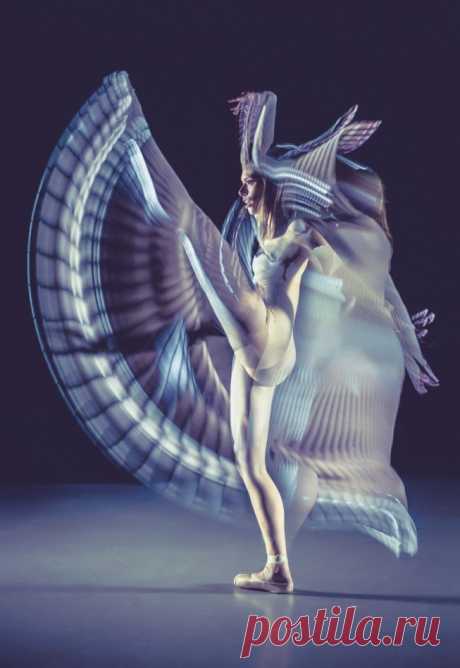 Финалисты престижного фотоконкурса Smithsonian