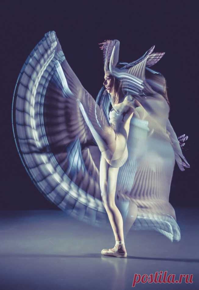 Финалисты престижного фотоконкурса Smithsonian