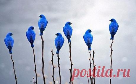 Интересные новости