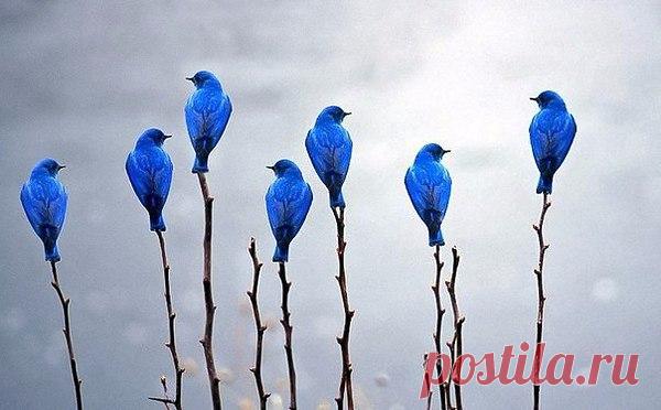 Интересные новости