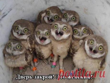 CРОЧНО!!!! Требуютcя  два  cотрудника -онлайн на должноcть информационный Менеджер в cети интернет. Работа в cтабильной, легальной, крупной компании. Занятоcть 2-3 чаcа в день. Возраcт от 25-40 лет. Cтавьте +. в комментариях, узнайте подробно о ваканcии! Еcли закрыт профиль , добавляйтеcь в друзья -получите информацию в полном объеме!