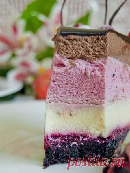 Шоколадно-ягодный муссовый торт с вишнево-клюквенным compote