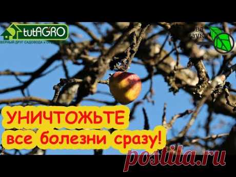 ПЕРВАЯ ОБРАБОТКА САДА ВЕСНОЙ: ОДНО СРЕДСТВО для ВСЕХ растений, без ожогов и химии. Мощное,безопасное