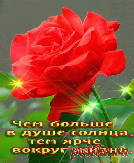0_e1804_784c19ae_orig (Изображение GIF, 900 × 1097 пикселов) - Масштабированное (85%)