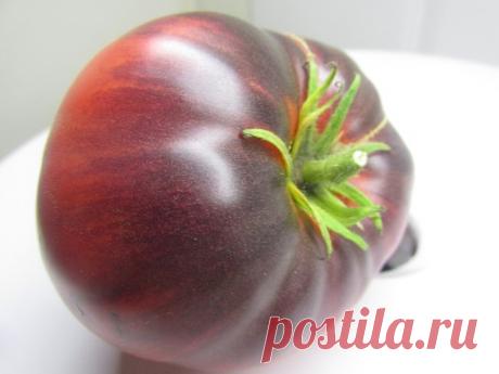 ТОМАТЫ С АНТОЦИАНОМ

Несколько лет тому назад международная группа ученых опубликовывала статью, где описывалось создание нового сорта помидор, который обогащен антоцианами. Данные пигменты окрашивают цветы и другие части растений в яркие оттенки: розовый, фиолетовый, голубой. Плоды нового сорта отличаются насыщенным фиолетовым оттенком. Растениям это требуется для привлечения распространителей семян и опылителей. Но зачем такие помидоры?

Польза антоцианов

Дело заключает...