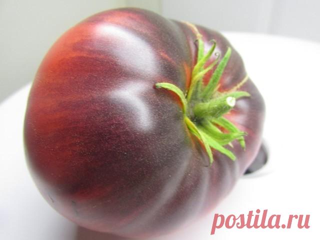 ТОМАТЫ С АНТОЦИАНОМ

Несколько лет тому назад международная группа ученых опубликовывала статью, где описывалось создание нового сорта помидор, который обогащен антоцианами. Данные пигменты окрашивают цветы и другие части растений в яркие оттенки: розовый, фиолетовый, голубой. Плоды нового сорта отличаются насыщенным фиолетовым оттенком. Растениям это требуется для привлечения распространителей семян и опылителей. Но зачем такие помидоры?

Польза антоцианов

Дело заключает...