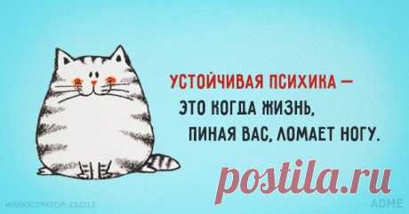 15 солнечных открыток с правильным отношением к жизни