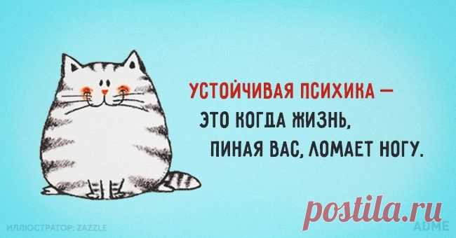 15 солнечных открыток с правильным отношением к жизни