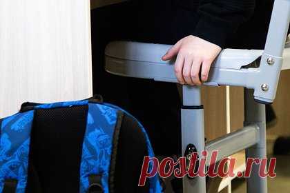 В Крыму 14-летнего школьника покусали во время урока. В крымском поселке Симеиз домашняя собака покусала 14-летнего школьника во время урока физкультуры. Об этом сообщил Telegram-канал «Mash на волне». В день случившегося животное пробралось на поле во время занятия и стащило конус. Когда учитель попросил собрать их, подросток с другом погнались за псом.