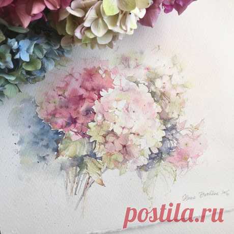 Охапка гортензий...
Этюд. Бумага Saunders WATERFORD Grain Torchon 425g 28x38

#art #artist #watercolor #watercolorpainting #acuarela #aquarelle #aquarell #акварель #этюд #topcreator #instagram #artstagram #process_of_creativity #worldofartists #waterblog #art_we_inspire #art_collective #artcollective #arts_gallery #arts_help #artworks_artist #artfido #art_sanity #skrien #inspiring_watercolors #artoftheday #gydrangea #гортензия  #winsorandnewton #schmincke